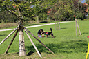 IMG_3332