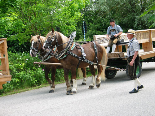 IMG_0327