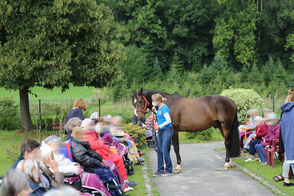 mit Pferden zu Besuch im Seniorenheim