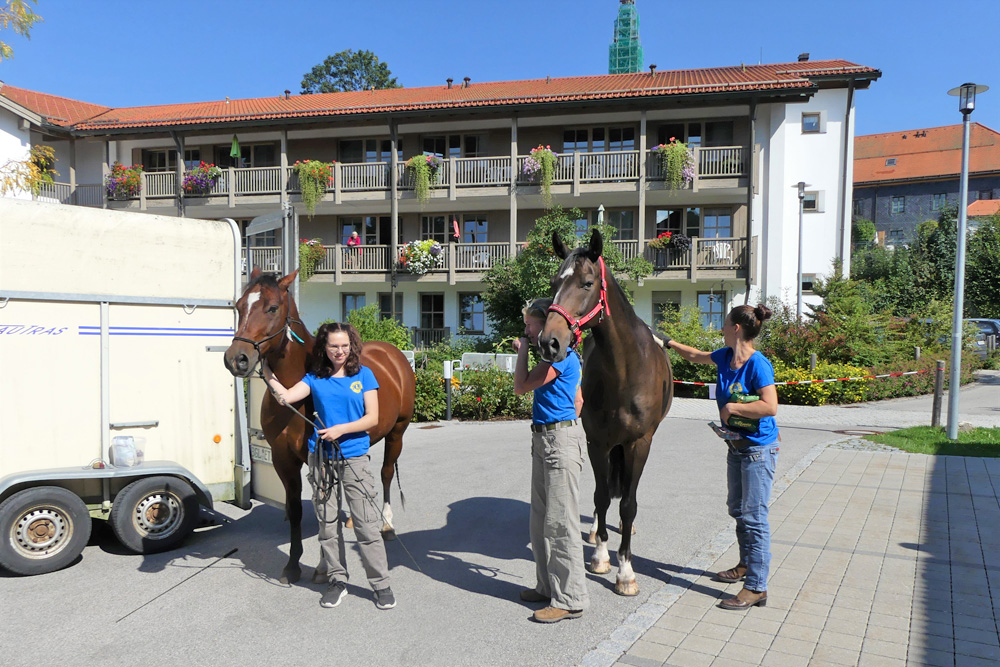 mit Pferden zu Besuch im Seniorenheim
