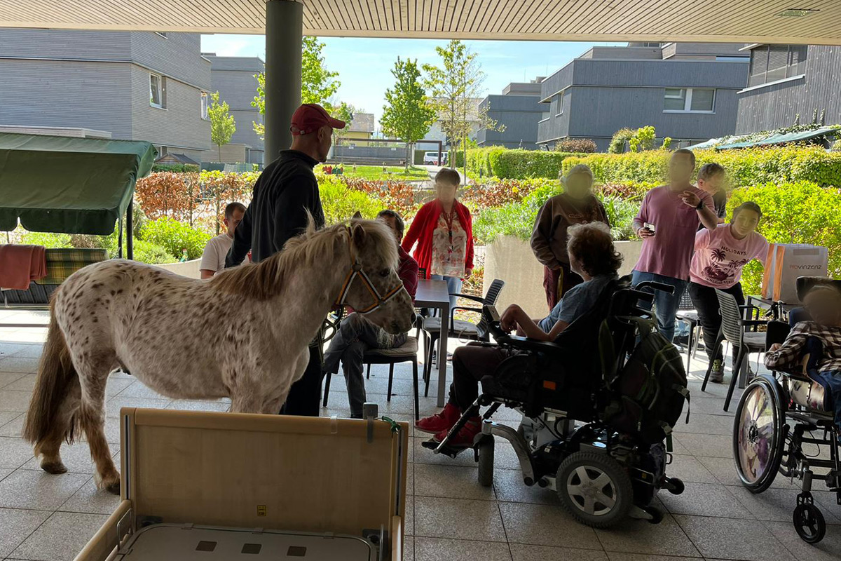 Zu Besuch im ProvinZenz in Salzburg/Liefering