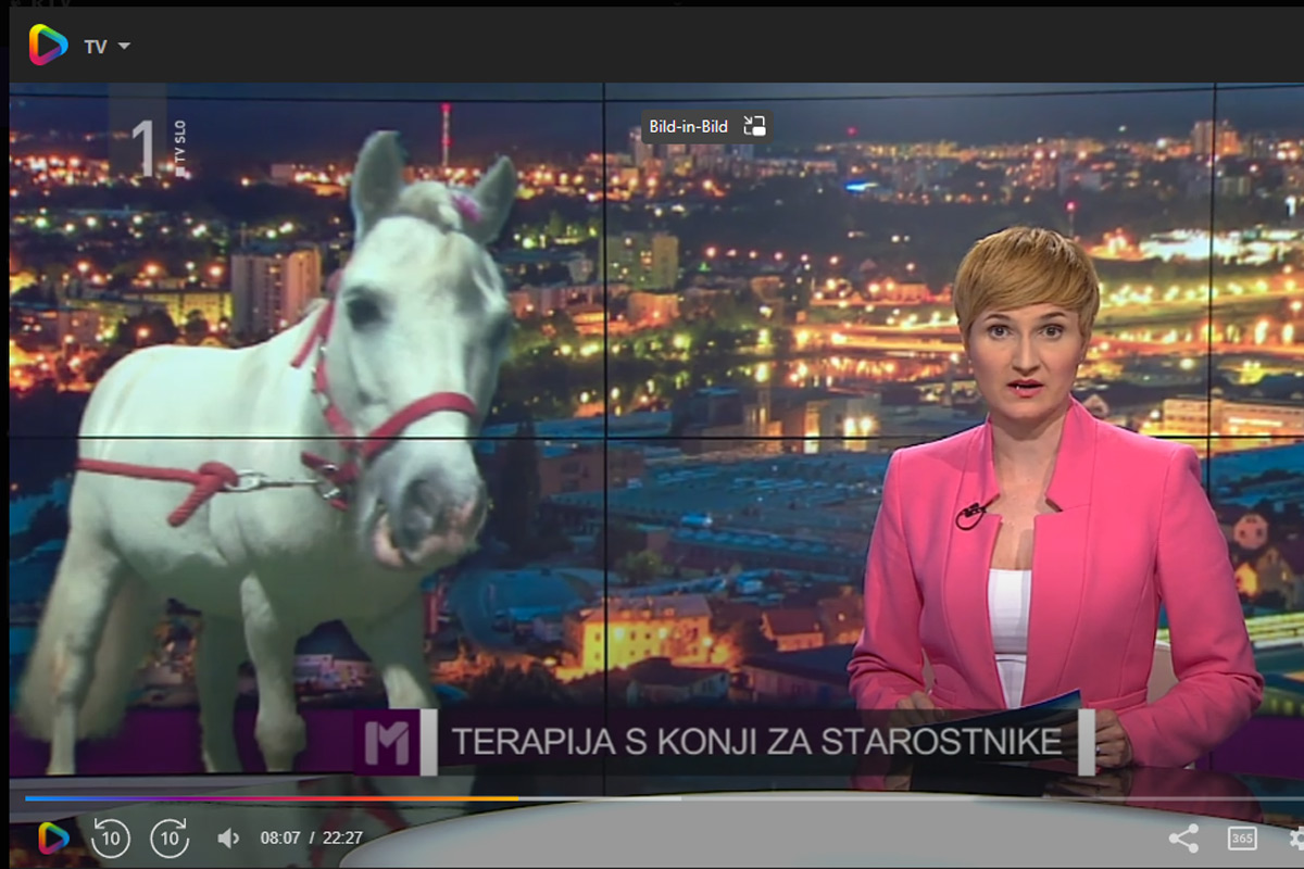 Maribor TV1